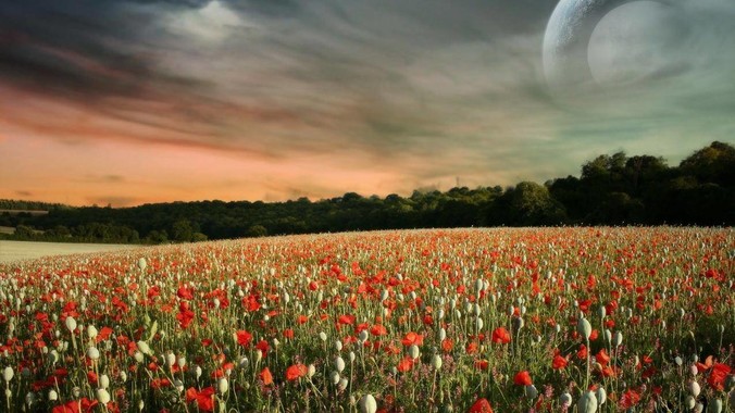 是什么原因导致HDR无法推行？